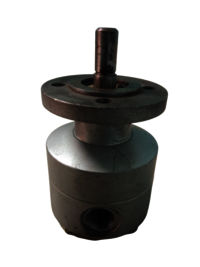 Flange Insert Type Rotary Pump