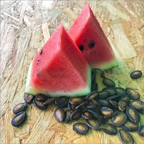 Organic Watermelon Seeds at Best Price in Delhi, Delhi | Ruhi Enterprises