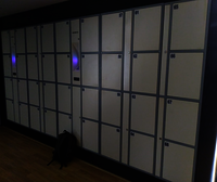 Rfid Fully Automatic Gym/Baggage Storage Locker