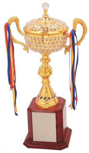 Designer Glossy Metal Cups