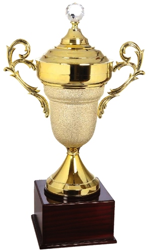 Golden Award Glossy Metal Cups