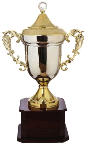 Award Metal Cups