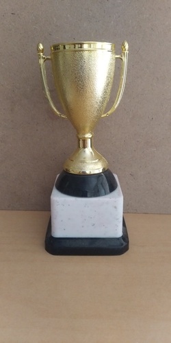 Fiber Trophy - 6 Inch Size | Sport Trophy Award, Box Packing