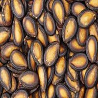 Black Natural Liquid Dried Watermelon Seeds