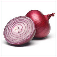 CDC Onions
