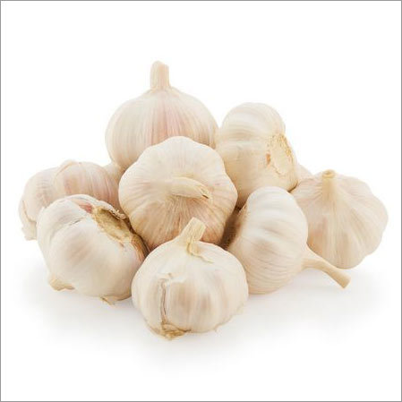White Garlic