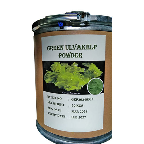 Green Kelp Powder - Grade: Food Grade