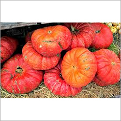 Red Pumpkin