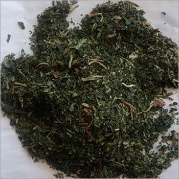 Dried Papaya Leaves Age Group: Suitable For All