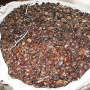 Agriculture Tamarind Seeds