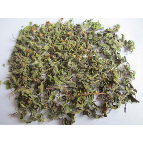 Dried Tulsi Leaves