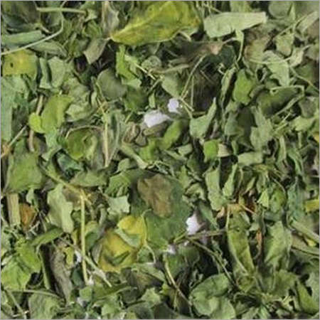 Dried Tribulus Terrestris Ingredients: Herbal Extract