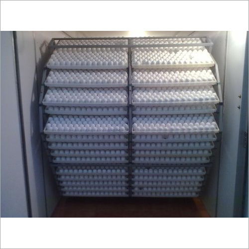 62000 Capacity Egg Incubator
