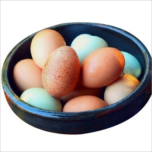 Natukodi Hatching Egg