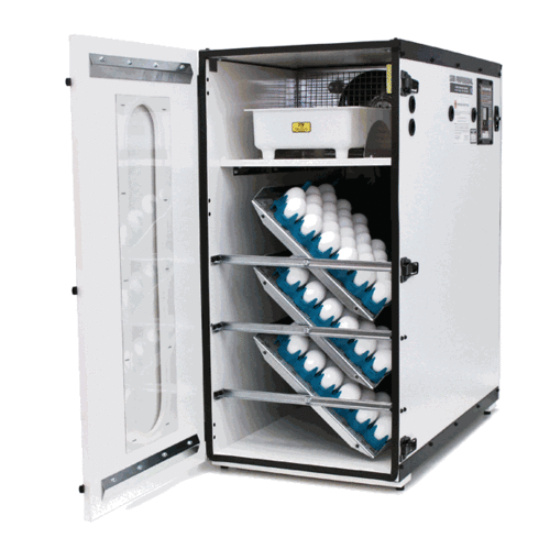 Poultry Incubator