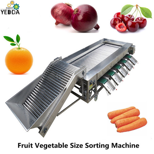 Fruit Vegetable Size Sorting Machine Capacity: 1000-3000 Kg/Hr
