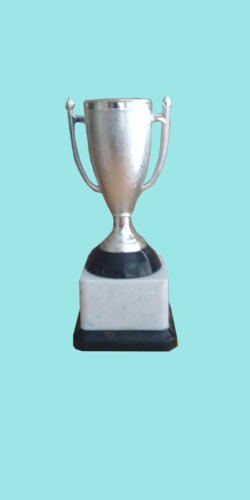 Fiber Trophy - Plastic Material, 6.5 Inch Dimensions | Sport Trophy Award in Box Packaging