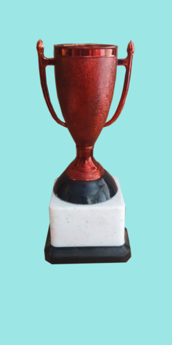 Fiber Trophy - Red Plastic 6.5 Inch Sport Trophy Award | Box Packed, Ideal for Celebrating Achievements in Competitive Events