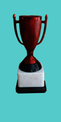 Fiber Trophy - Red Plastic 6.5 Inch Sport Trophy Award | Box Packed, Ideal For Celebrating Achievements In Competitive Events