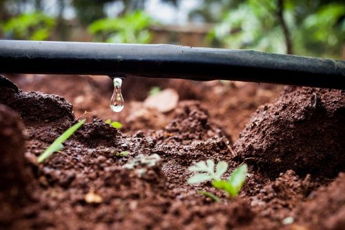 Drip Irrigation System Application: Commercial