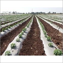 Agricultural Mulch Film