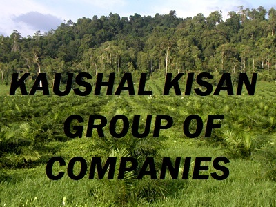 Palm Oil Plant