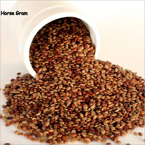 Roasted Horse Gram