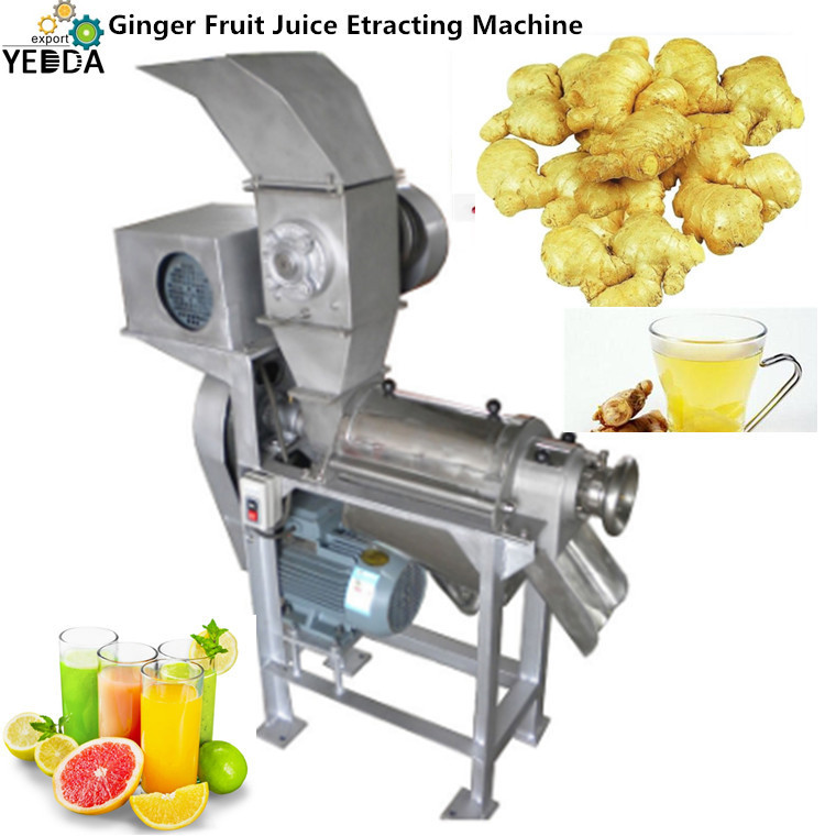 Automatic Fruit Vegetable Pulping Machine