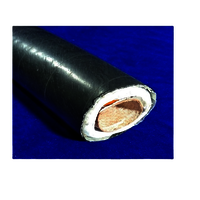 Insulated Silicon Hose