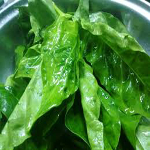 Dried Natural Indian Mulberry Leaf