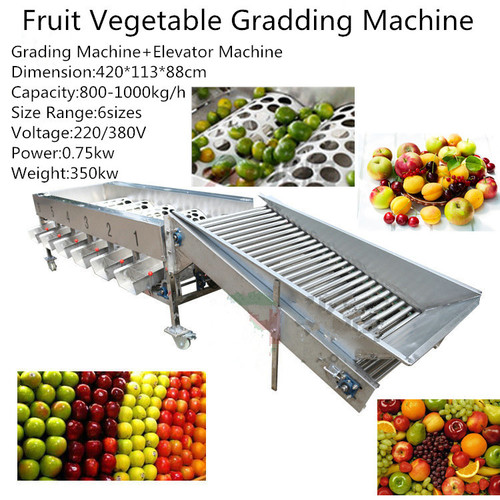 Industrial Orange Lemon Apple Kiwi Size Grading Machine