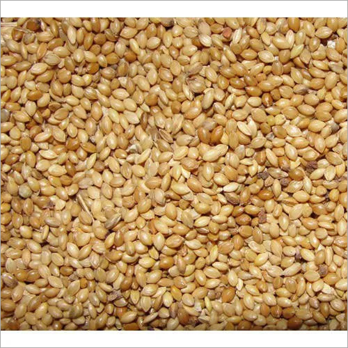 Foxtail Millet By SATHYA SHAYEE EXPORTS