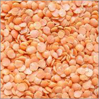 Masoor  Dal