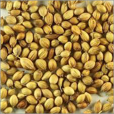 Coriander Seed By AJFO EXPORT INDIA PRIVATE LIMITED