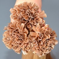 Factory Rating Indian Tip Human Hair Extensions