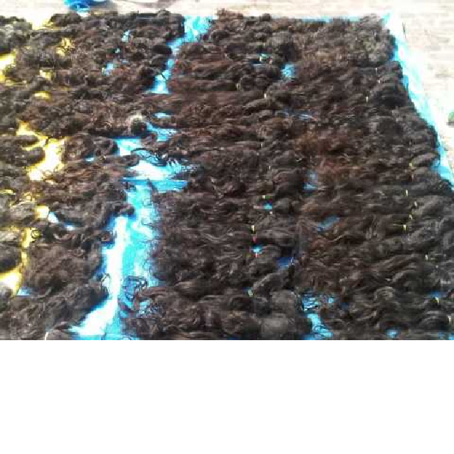 Wavy Human Hair Extensions