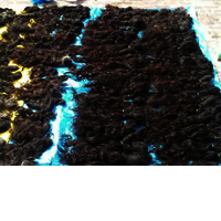 Wavy Human Hair Extensions