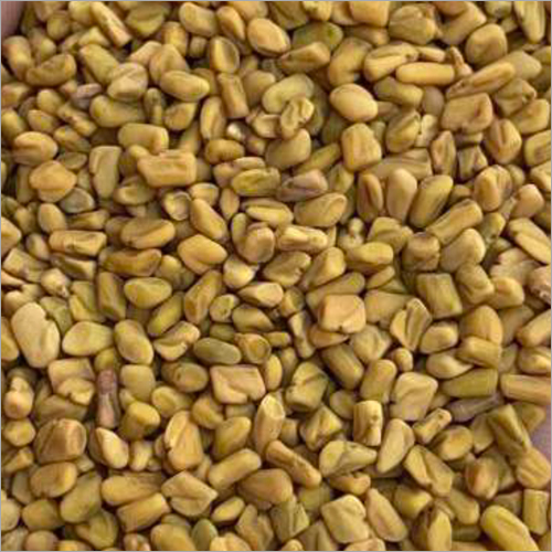 Regular Sortex Fenugreek Seeds