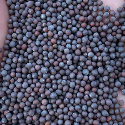 Bold Sortex Mustard Seeds