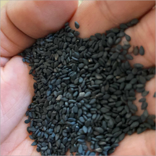 Jet-Z Black Sesame Seeds
