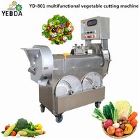 YD-801 multifunctional vegetable cutting machine