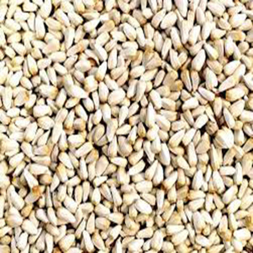 Dried Raw Seed Natural Sunflower Seeds 1kg