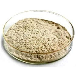 Papain Ip Powder