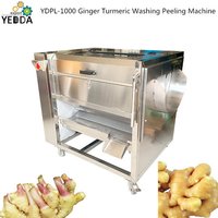 Full automatic Ginger Turmeric Washing Peeling Machine
