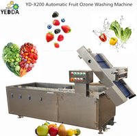 YD-X200 Automatic Fruit Ozone Washing Machine