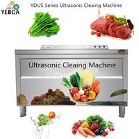 YDUS Series Fruit Vegetable Ultrasonic Cleaing Machine