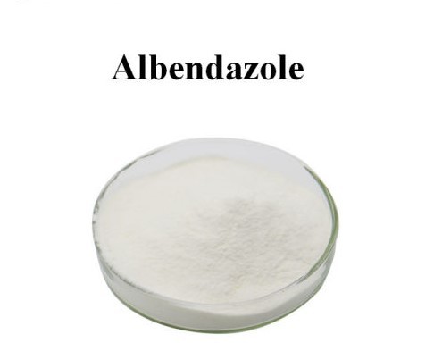 Albendazole API - Amorphous White Powder CAS No: 54965-21-8 EINECS No: 259-414-7 Melting Point: 208Â°C Purity: 99% Molecular Formula: C12H15N3O2S