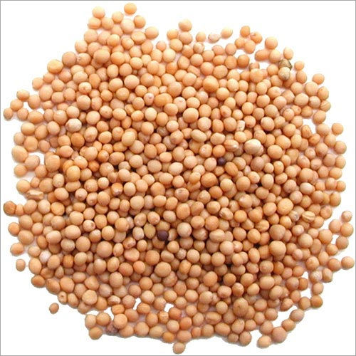 Yellow Mustard Seeds