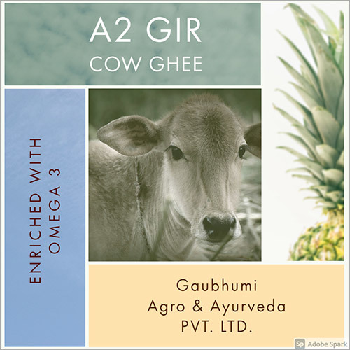A2 Gir Cow Omega 3 Enriched Ghee
