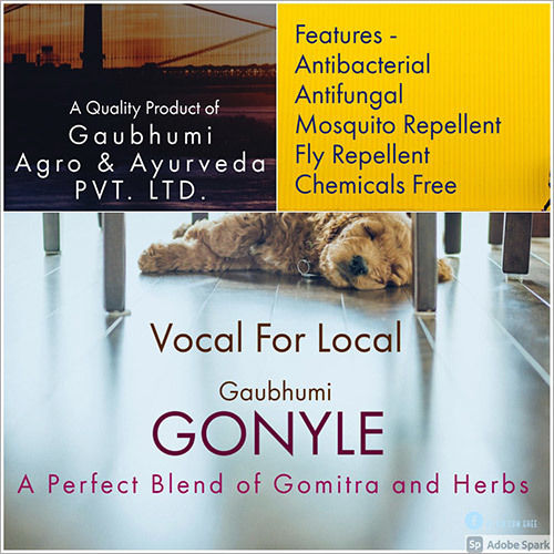 Gonyle Floor Cleaner